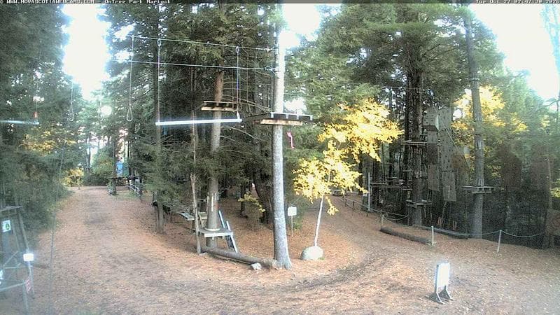 Ontree Park