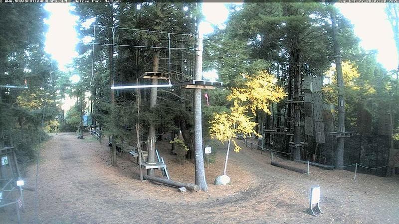 Ontree Park