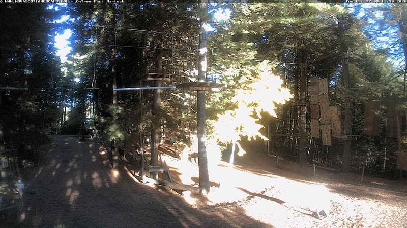 Ontree Park