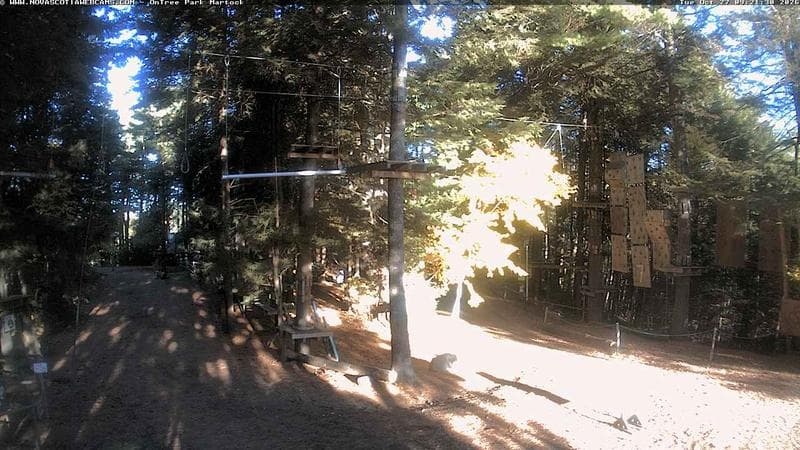 Ontree Park