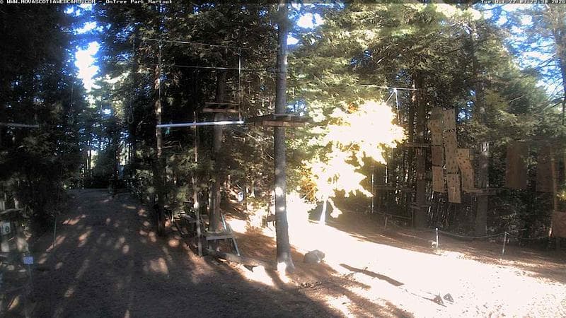 Ontree Park