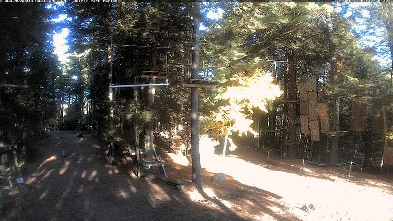 Ontree Park