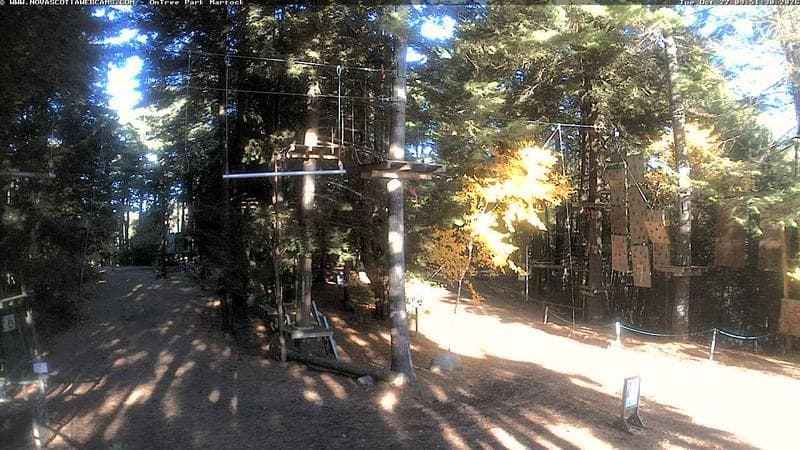 Ontree Park