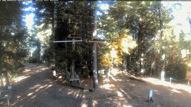 Ontree Park