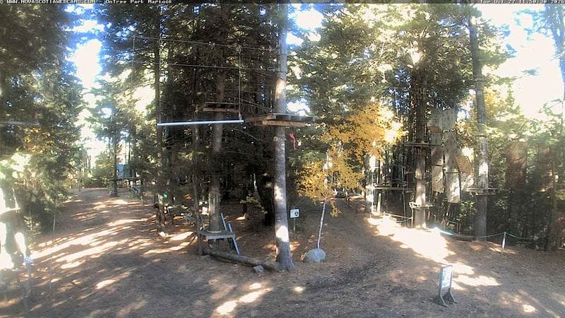 Ontree Park