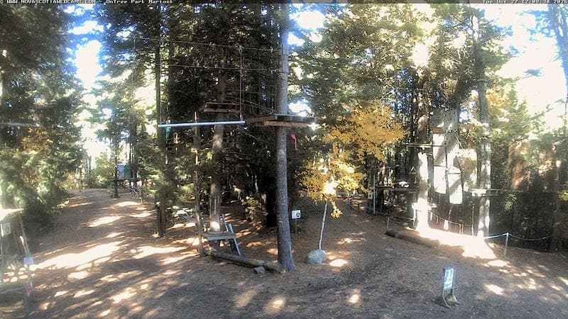 Ontree Park