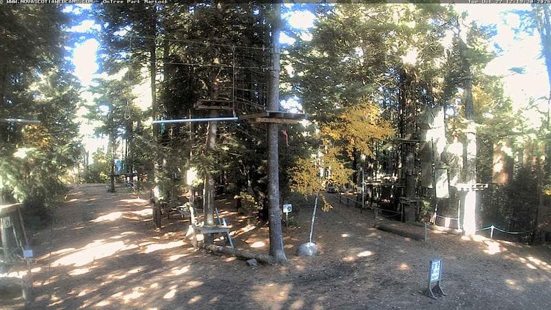 Ontree Park