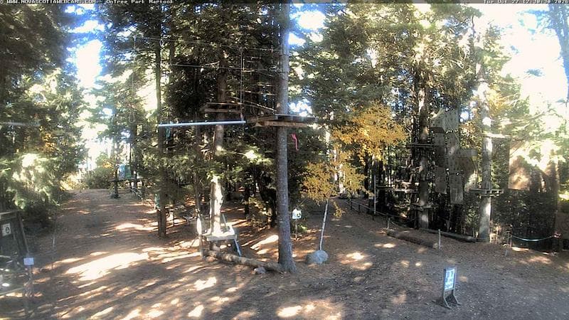 Ontree Park