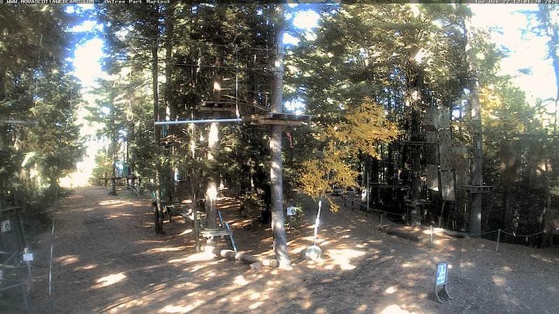 Ontree Park