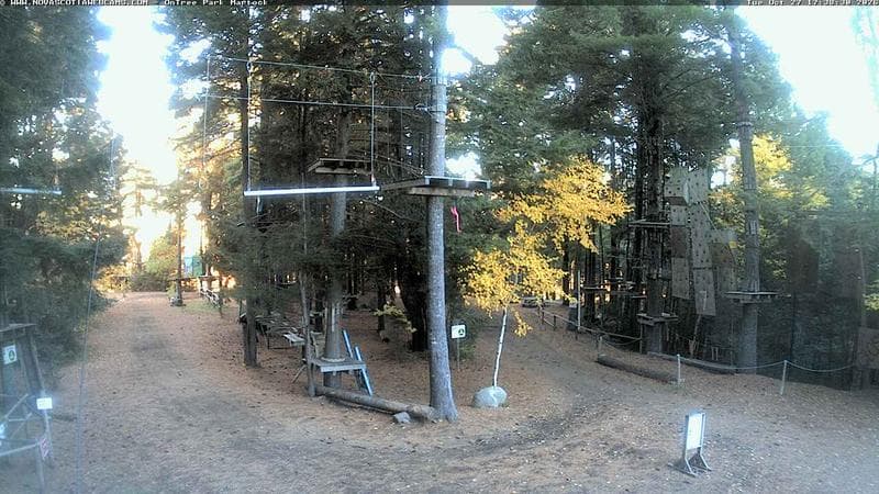 Ontree Park