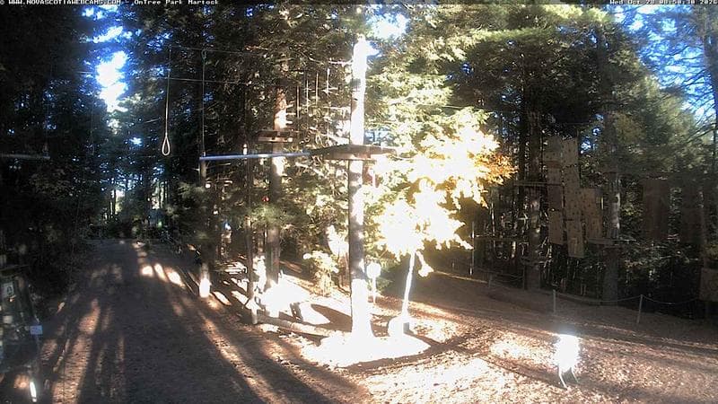 Ontree Park