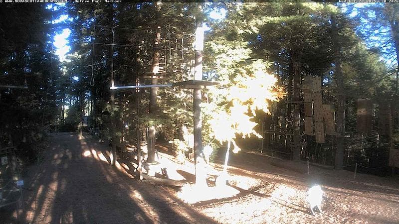 Ontree Park
