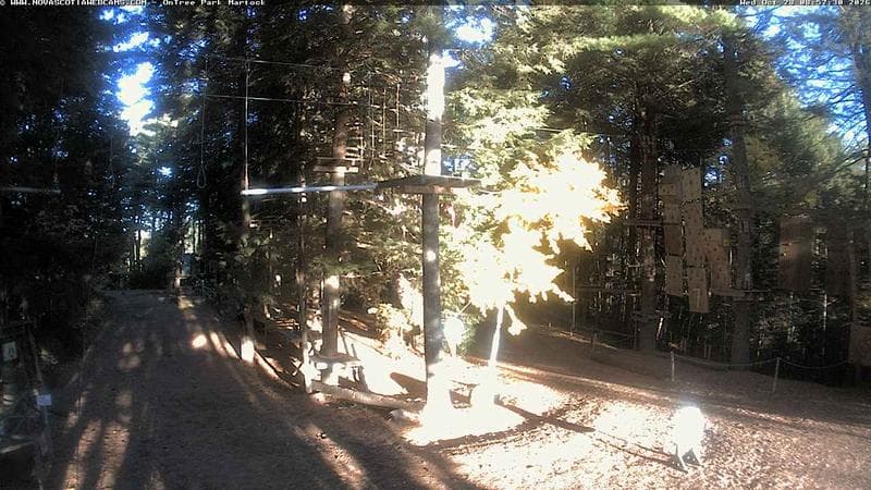 Ontree Park