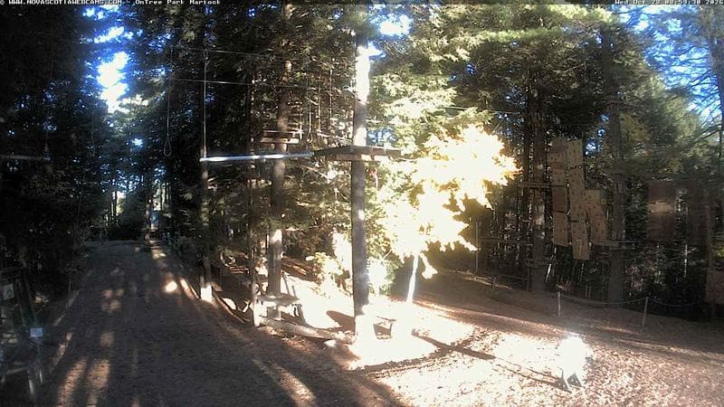 Ontree Park