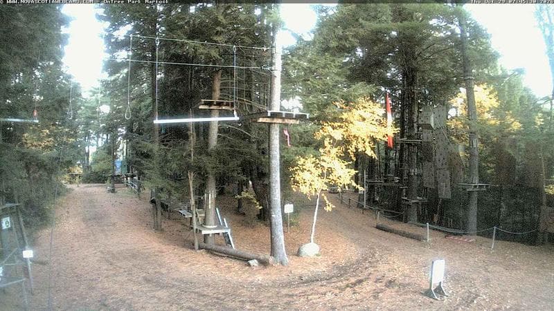 Ontree Park
