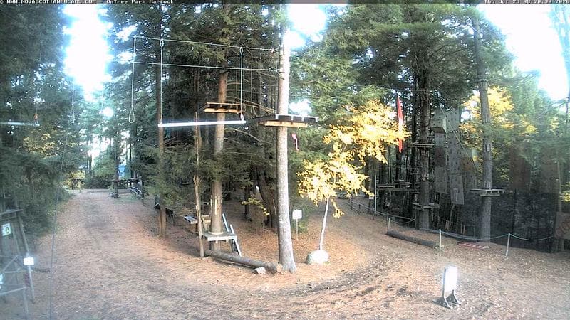 Ontree Park
