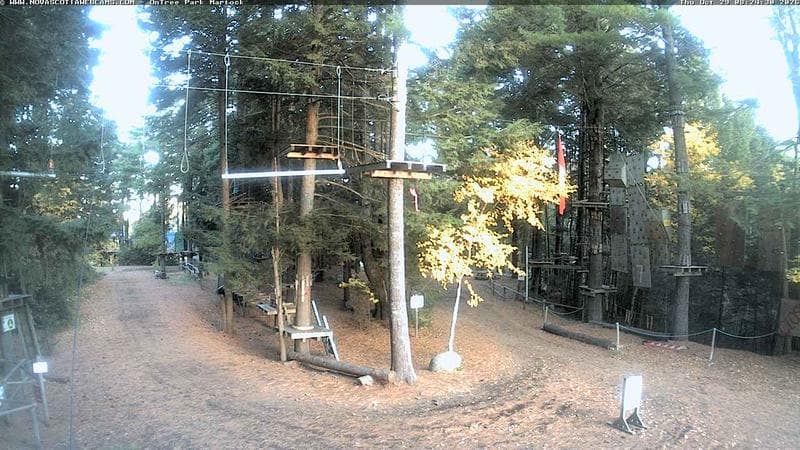 Ontree Park