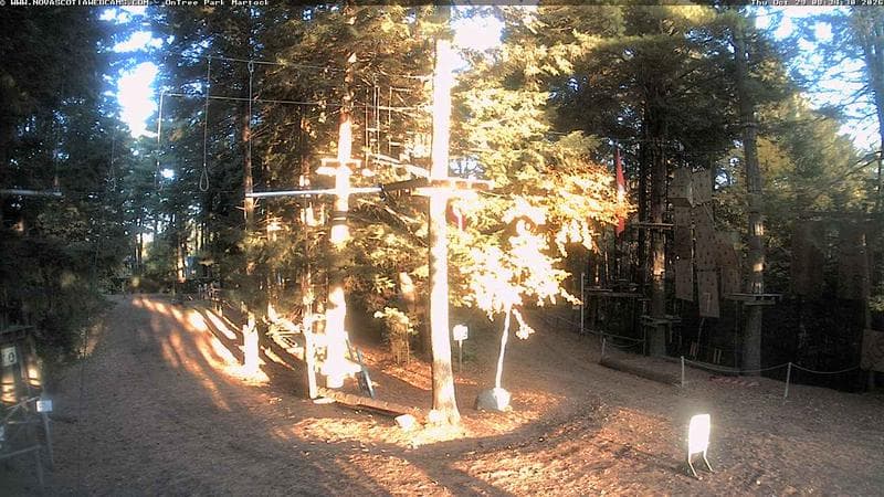 Ontree Park