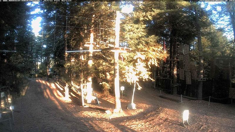 Ontree Park