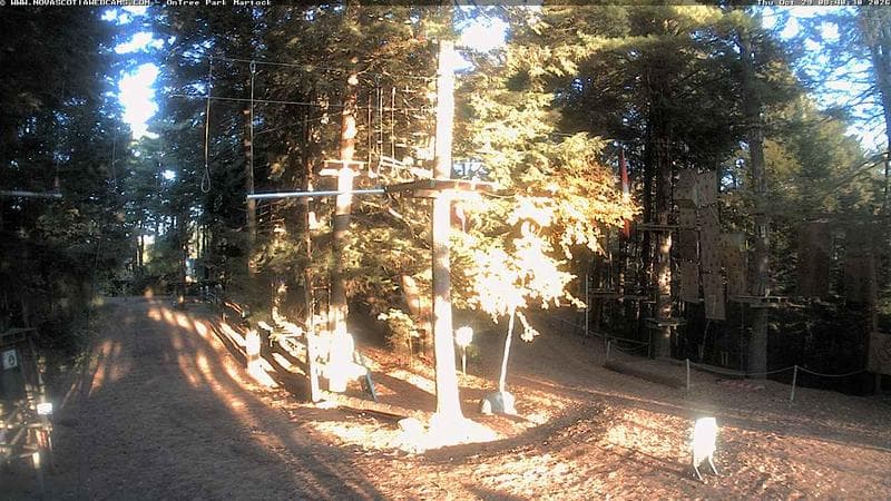 Ontree Park