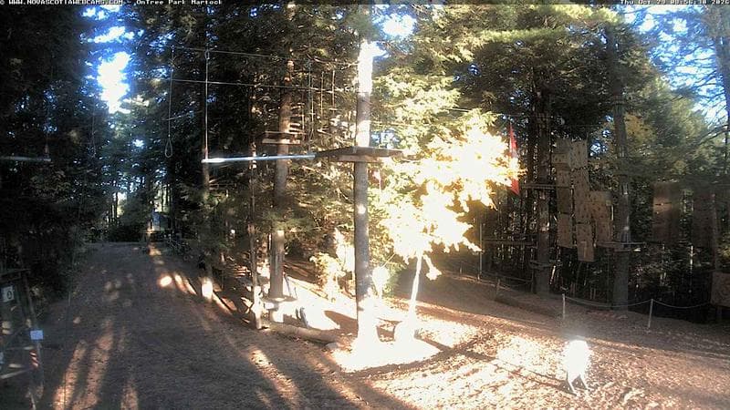Ontree Park