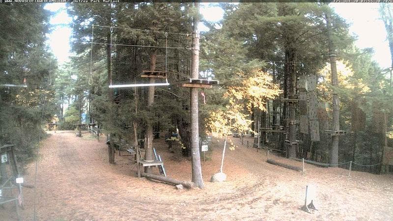 Ontree Park