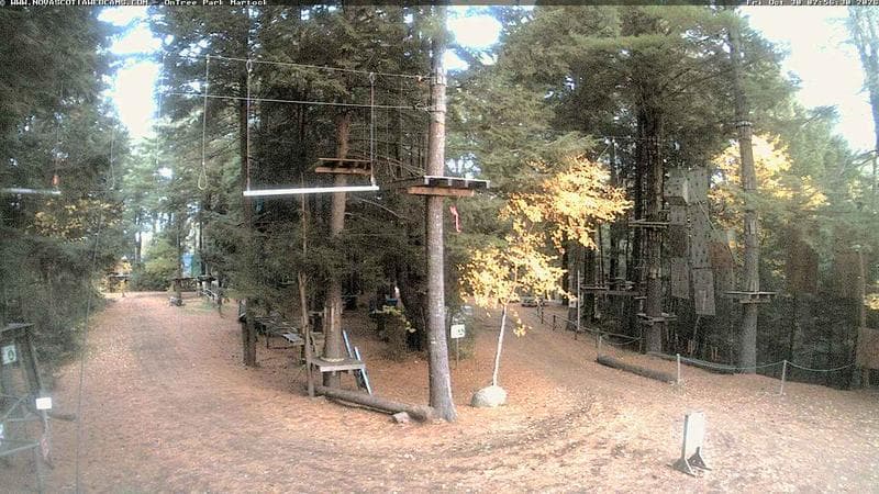 Ontree Park