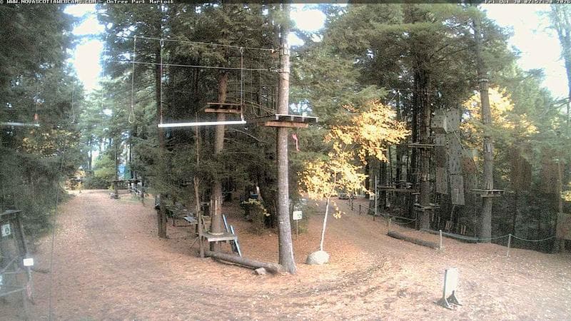 Ontree Park