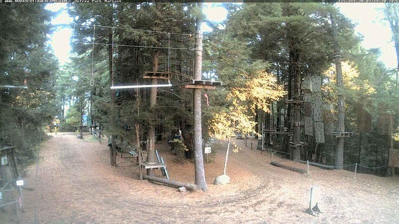 Ontree Park