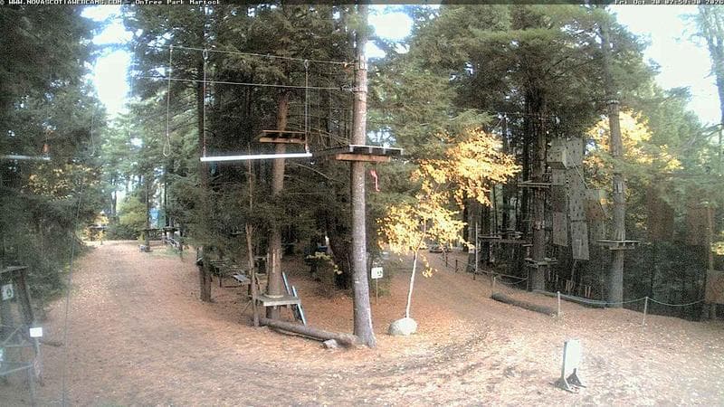 Ontree Park