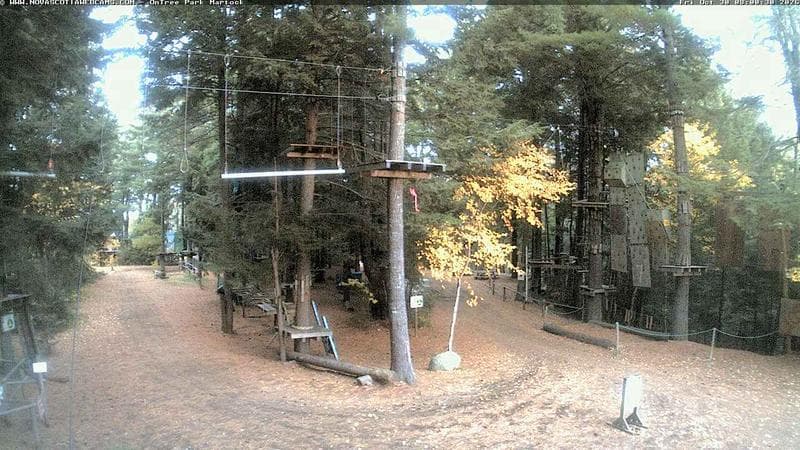 Ontree Park