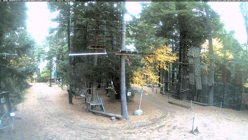Ontree Park