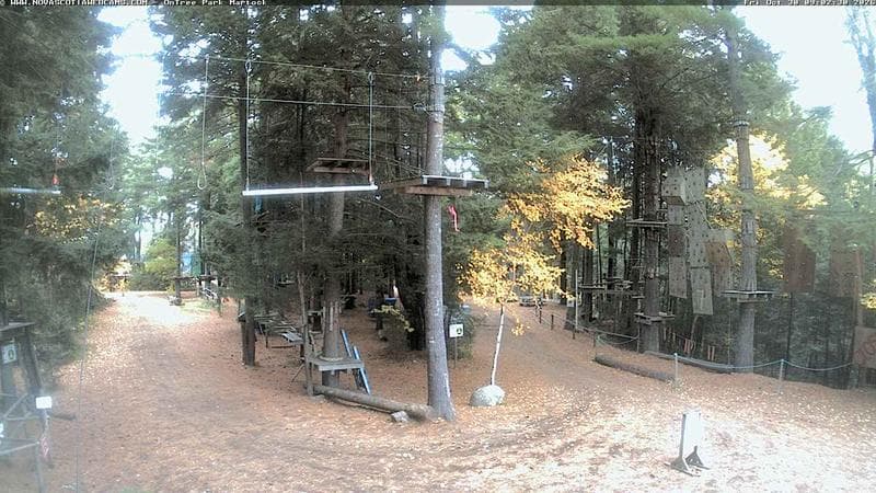 Ontree Park