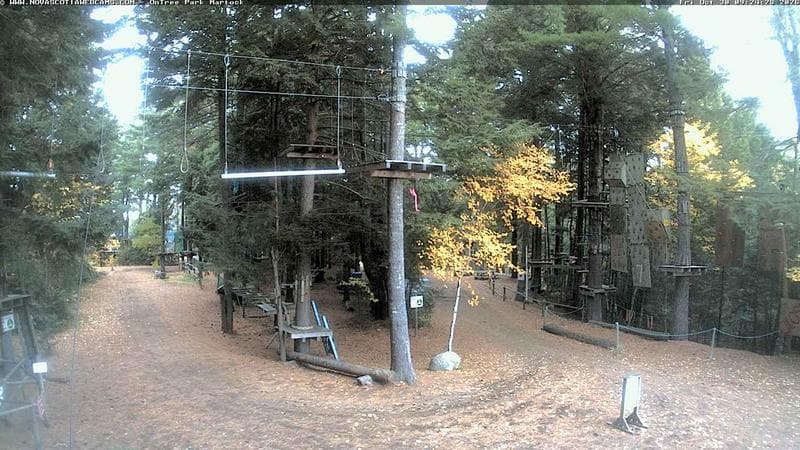 Ontree Park