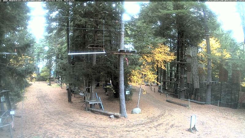 Ontree Park