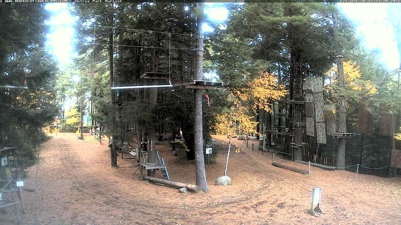 Ontree Park