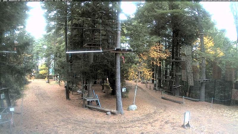 Ontree Park