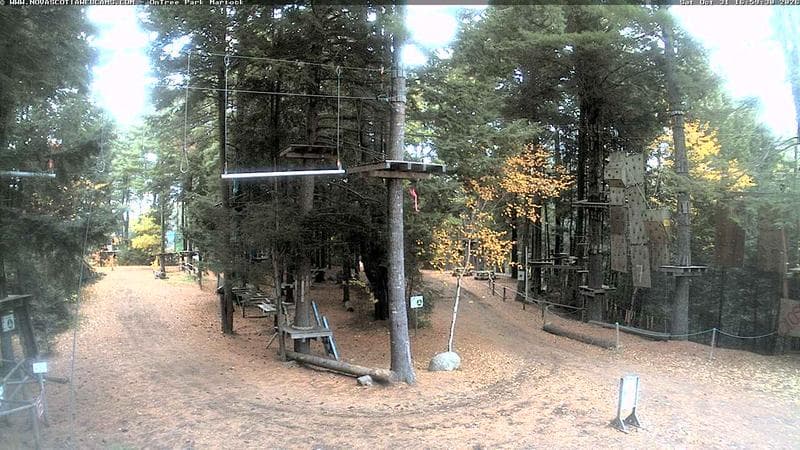 Ontree Park