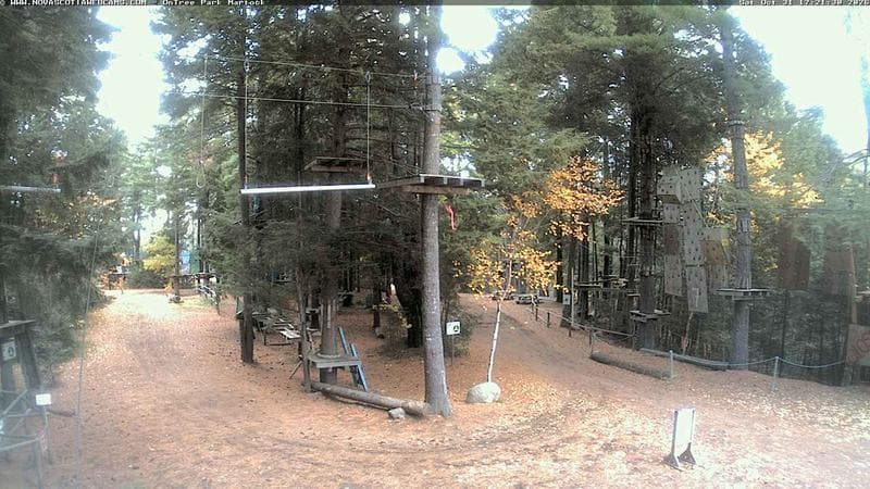 Ontree Park