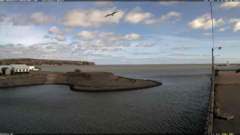 Parrsboro Wharf