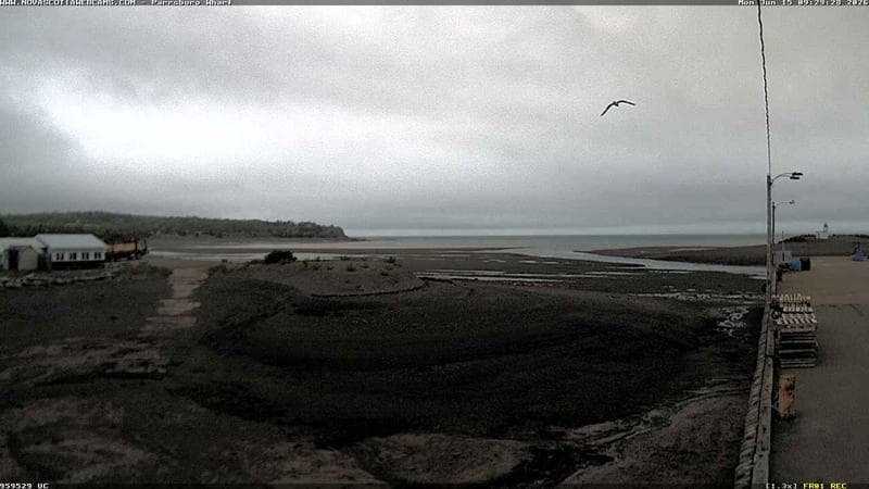 Parrsboro Wharf