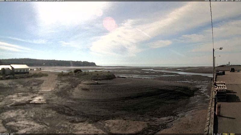 Parrsboro Wharf
