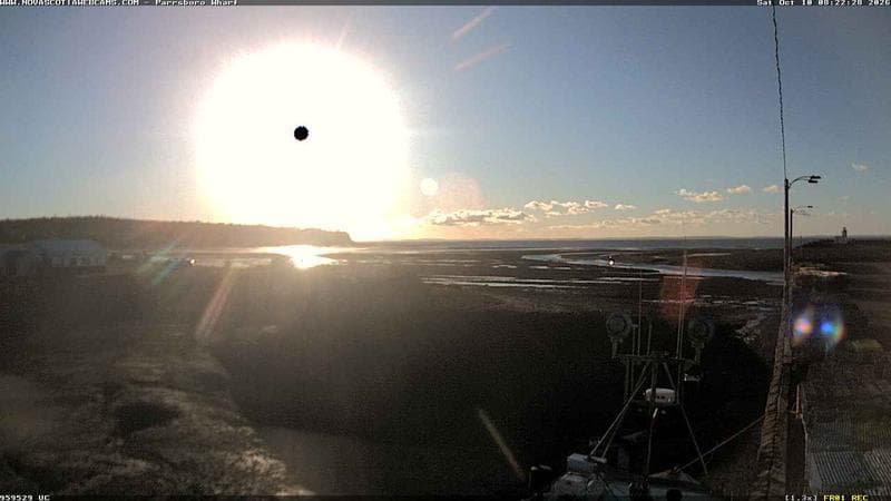 Parrsboro Wharf