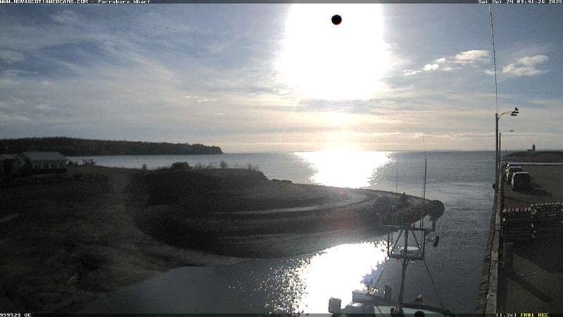 Parrsboro Wharf