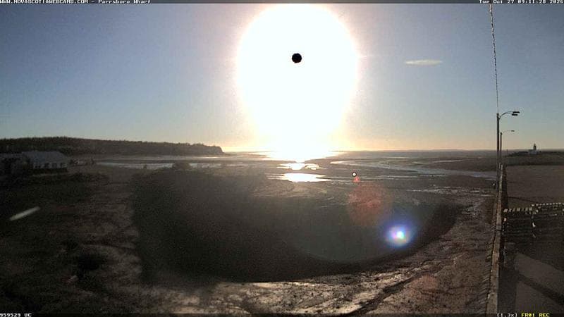 Parrsboro Wharf