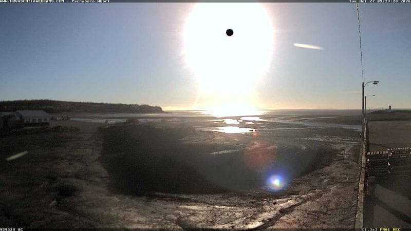 Parrsboro Wharf
