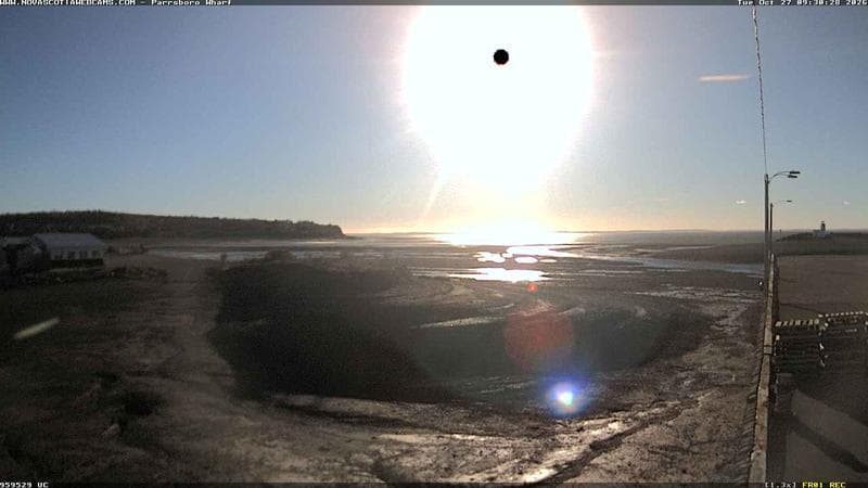 Parrsboro Wharf