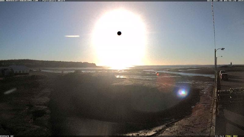Parrsboro Wharf