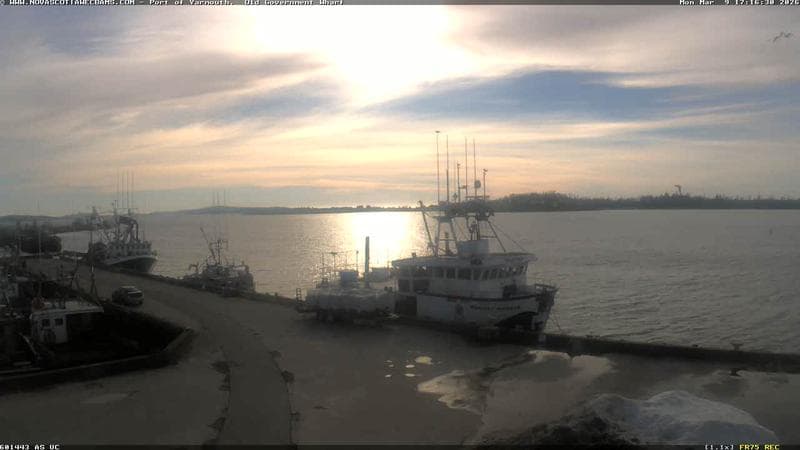 Old Government Wharf