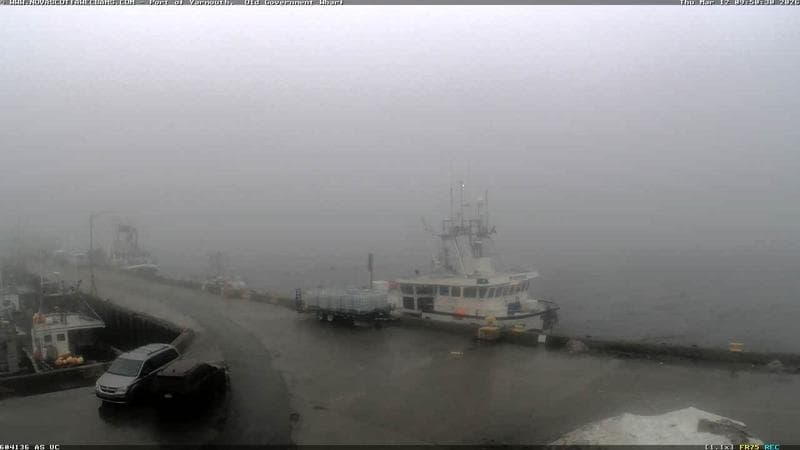 Old Government Wharf